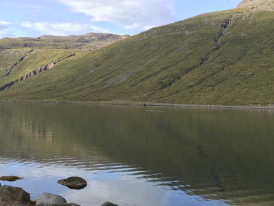 2017-08-29-Iceland-057-near-Djupvegur-whale-watching.JPG