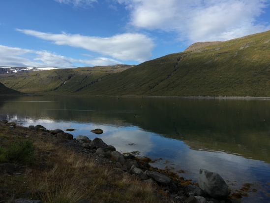 2017-08-29-Iceland-059-near-Djupvegur-whale-watching.JPG