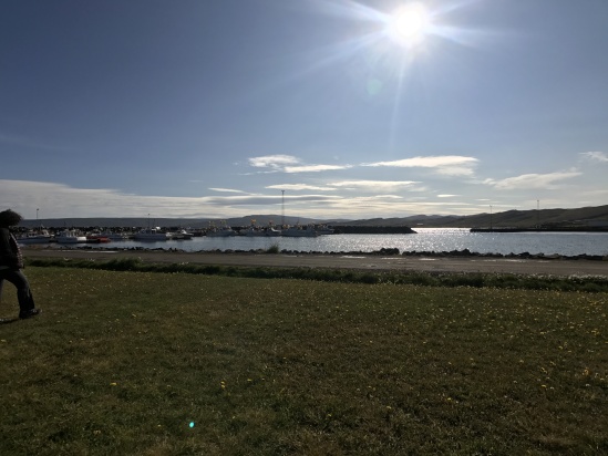 2017-08-29-Iceland-108-HolmavIk-Suzi.JPG