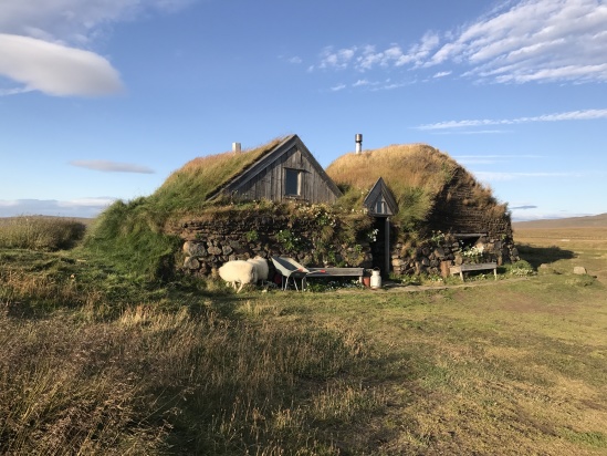 2017-08-31-Iceland-199-Saenautasel-Hobbit-Home-sheep.JPG