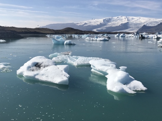 2017-09-01-Iceland-046-Jokulsarlon-Glacier-Lagoon.JPG