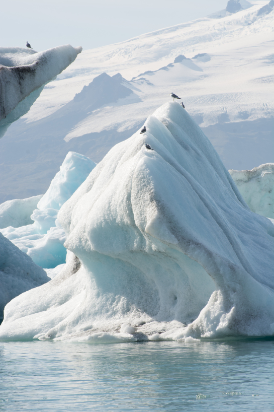 2017-09-01-Iceland-080-Jokulsarlon-Glacier-Lagoon.jpg