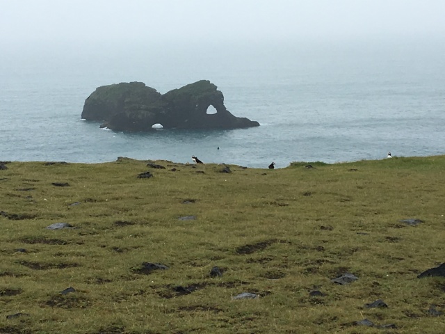2017-09-02-Iceland-26-Dyrholaey-holes-in-rock-Puffins.JPG