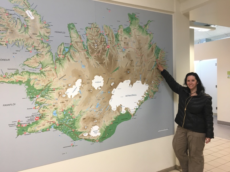2017-09-01-Iceland-007-Kris-Egilsstaoir-gas.JPG