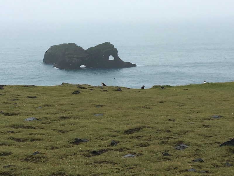 2017-09-02-Iceland-26-Dyrholaey-holes-in-rock-Puffins.JPG