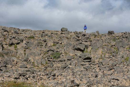 2017-08-30-Iceland-047-Suzi.jpg