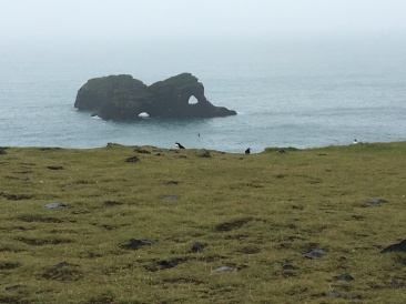 2017-09-02-Iceland-26-Dyrholaey-holes-in-rock-Puffins.JPG