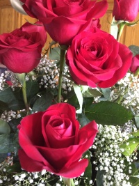 2017/08(August)/Travis-Suzi-25th-Anniversary/2017-08-14-25th-anniversary-Roses-Travis-was-out-of-town-1.JPG