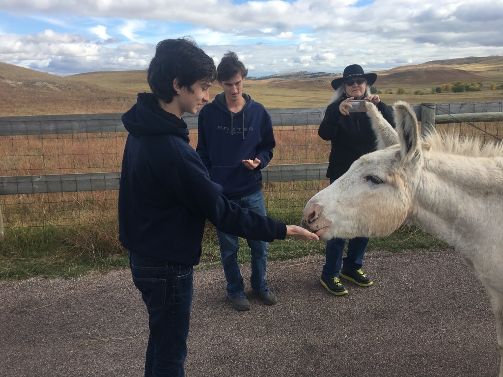 2017/09(September)/Chicago-South-Dakota/1024x768_2017-09-25-Custer-State-Park-11-Dax-Chance-Donkey.JPG