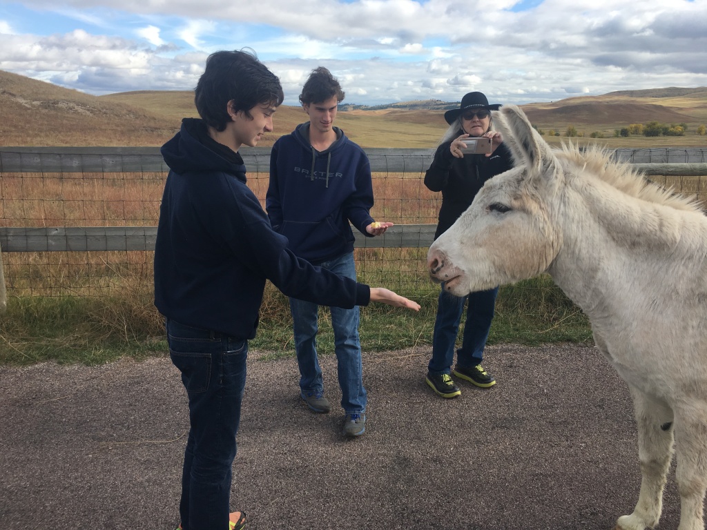 2017/09(September)/Chicago-South-Dakota/1024x768_2017-09-25-Custer-State-Park-12-Dax-Chance-Donkey.JPG