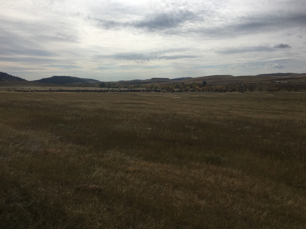 2017/09(September)/Chicago-South-Dakota/1024x768_2017-09-29-Custer-State-Park-Buffalo-Roundup-17.JPG