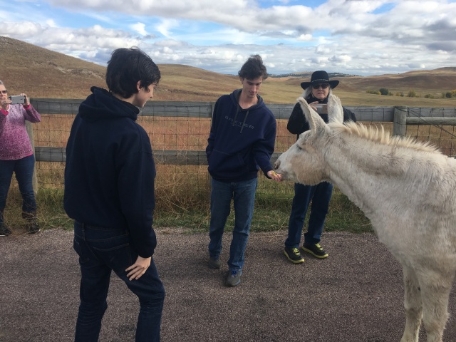2017/09(September)/Chicago-South-Dakota/640x480_2017-09-25-Custer-State-Park-13-Dax-Chance-Donkey.JPG