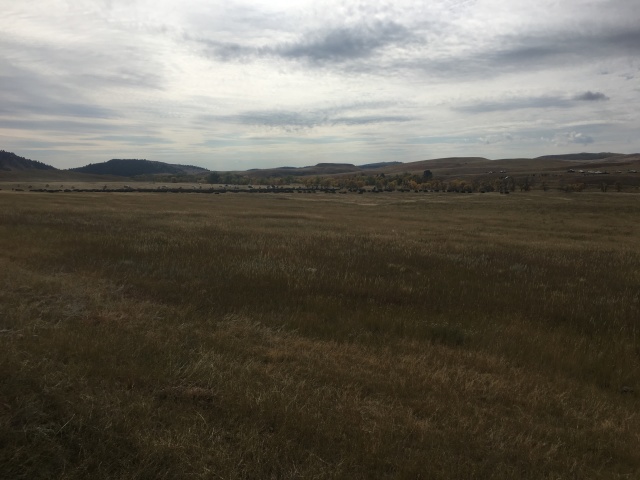 2017/09(September)/Chicago-South-Dakota/640x480_2017-09-29-Custer-State-Park-Buffalo-Roundup-17.JPG