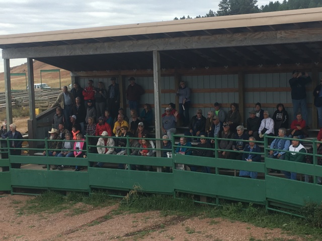 2017/09(September)/Chicago-South-Dakota/640x480_2017-09-29-Custer-State-Park-Buffalo-Roundup-34-Jim.JPG