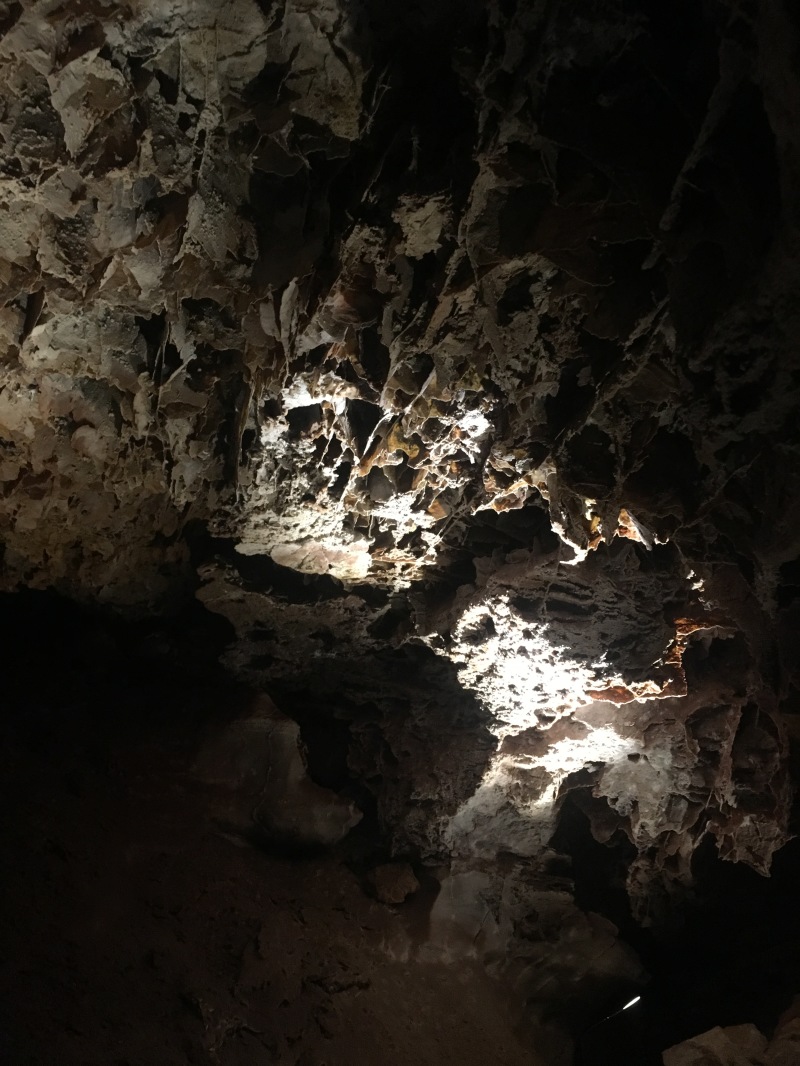 2017/09(September)/Chicago-South-Dakota/800x600_2017-09-25-Wind-Cave-3.JPG