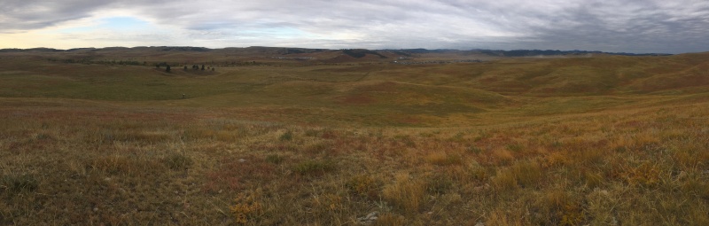 2017/09(September)/Chicago-South-Dakota/800x600_2017-09-29-Custer-State-Park-Buffalo-Roundup-04.JPG
