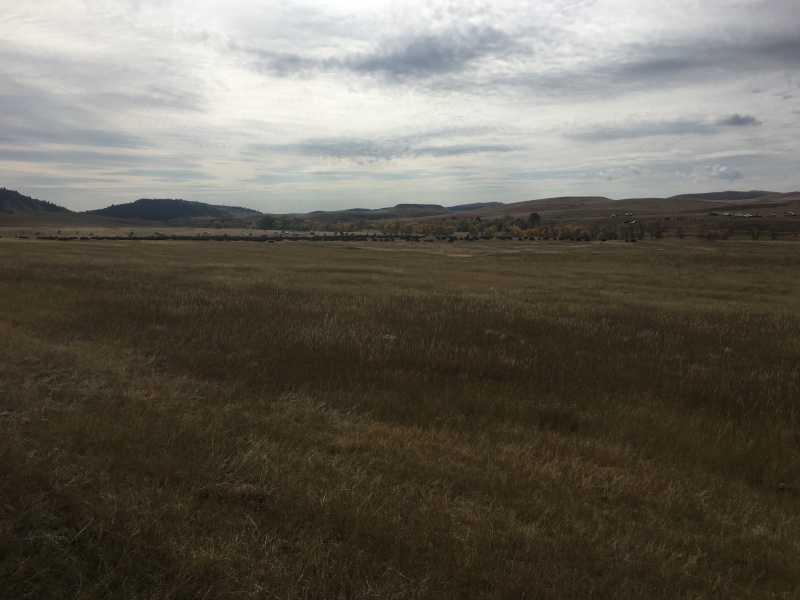 2017/09(September)/Chicago-South-Dakota/800x600_2017-09-29-Custer-State-Park-Buffalo-Roundup-17.JPG