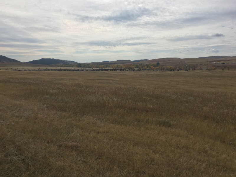 2017/09(September)/Chicago-South-Dakota/800x600_2017-09-29-Custer-State-Park-Buffalo-Roundup-18.JPG