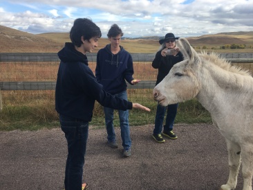 2017-09-25-Custer-State-Park-12-Dax-Chance-Donkey.JPG
