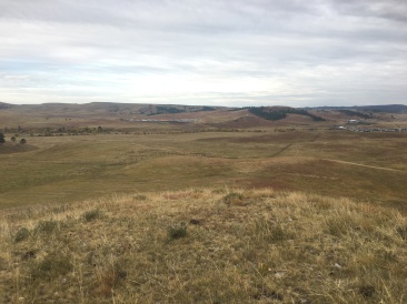2017-09-29-Custer-State-Park-Buffalo-Roundup-03.JPG