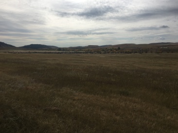 2017-09-29-Custer-State-Park-Buffalo-Roundup-17.JPG