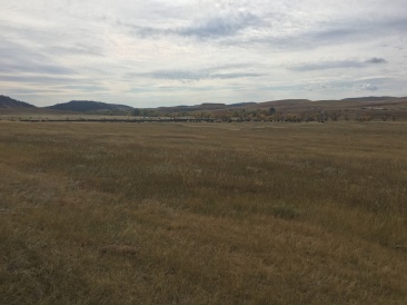 2017-09-29-Custer-State-Park-Buffalo-Roundup-18.JPG