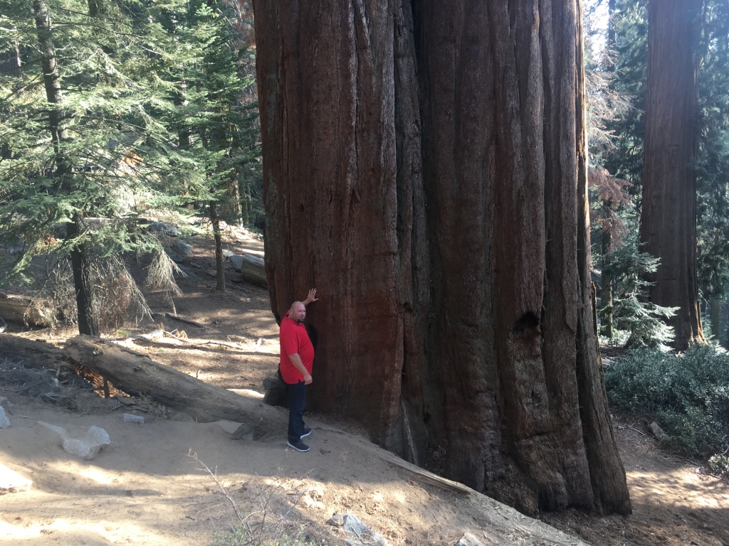 2017/10(October)/Fresno-CA-ERM-work/1024x768_2017-10-19-Sequioa-National-Forest-05-Bill.JPG