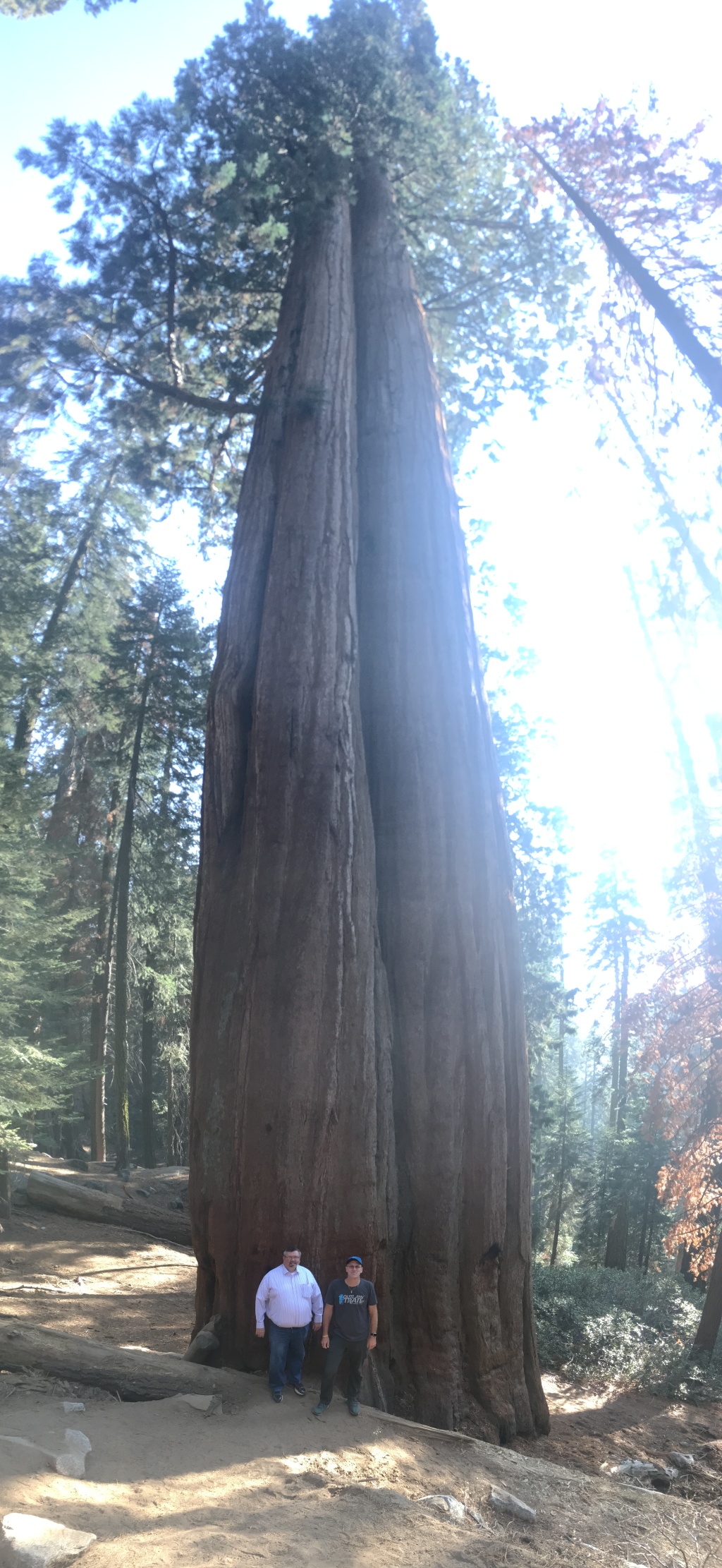 2017/10(October)/Fresno-CA-ERM-work/1024x768_2017-10-19-Sequioa-National-Forest-08-Brian-Travis.JPG