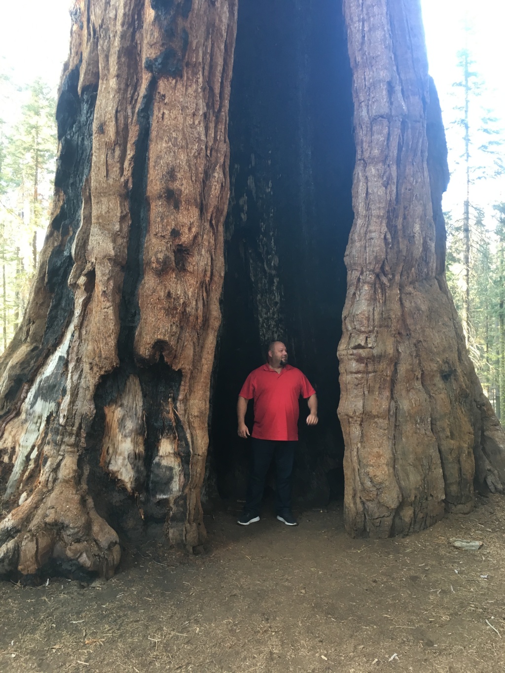 2017/10(October)/Fresno-CA-ERM-work/1024x768_2017-10-19-Sequioa-National-Forest-12-Bill.JPG