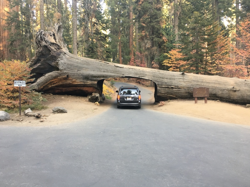 2017/10(October)/Fresno-CA-ERM-work/1024x768_2017-10-19-Sequioa-National-Forest-23.JPG