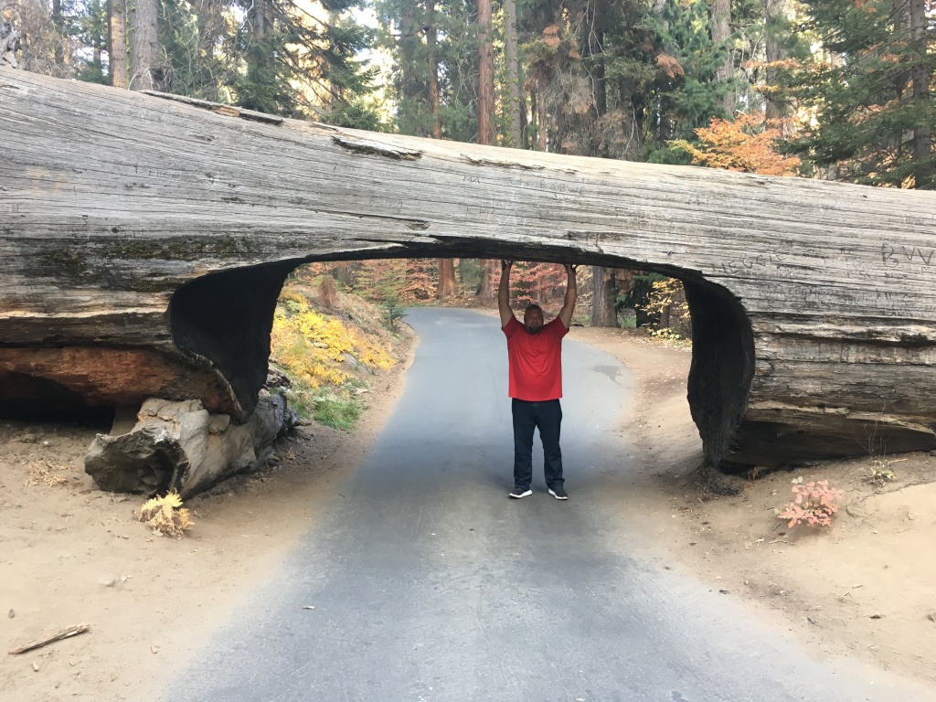 2017/10(October)/Fresno-CA-ERM-work/1024x768_2017-10-19-Sequioa-National-Forest-31-Bill.JPG