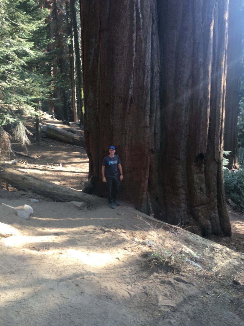 2017/10(October)/Fresno-CA-ERM-work/800x600_2017-10-19-Sequioa-National-Forest-04-Travis.JPG