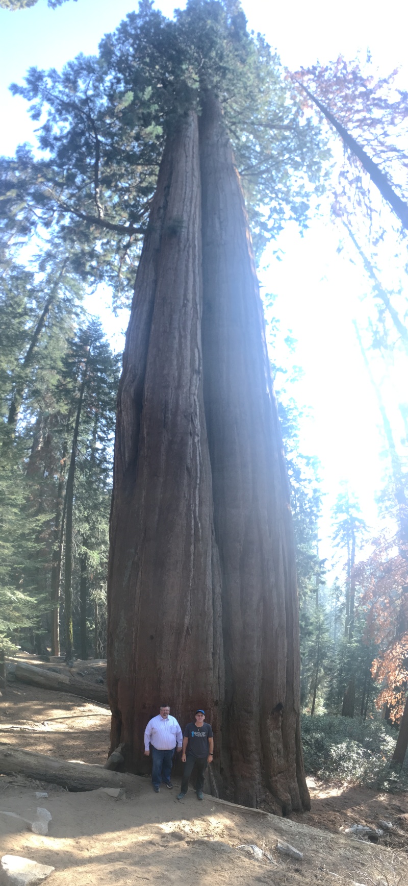 2017/10(October)/Fresno-CA-ERM-work/800x600_2017-10-19-Sequioa-National-Forest-08-Brian-Travis.JPG
