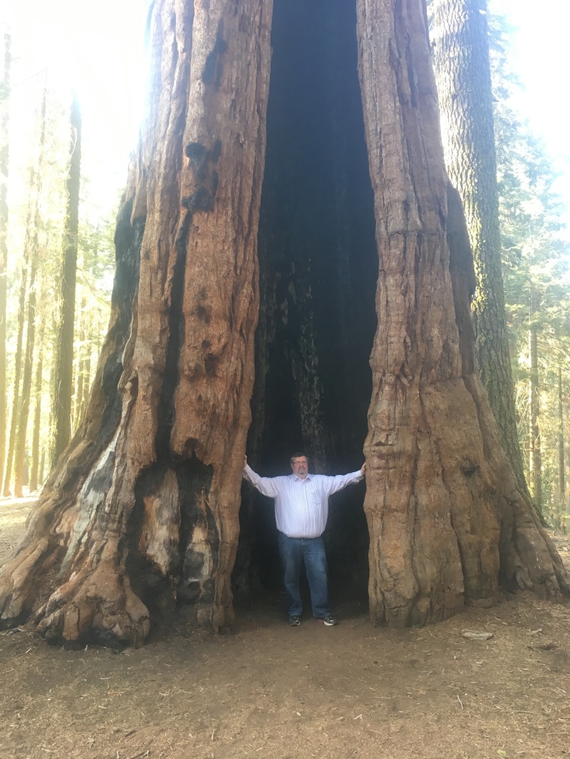 2017/10(October)/Fresno-CA-ERM-work/800x600_2017-10-19-Sequioa-National-Forest-10-Brian.JPG