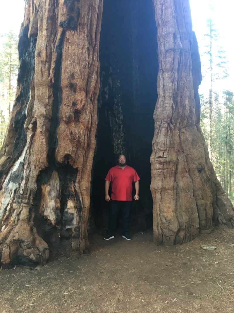 2017/10(October)/Fresno-CA-ERM-work/800x600_2017-10-19-Sequioa-National-Forest-11-Bill.JPG