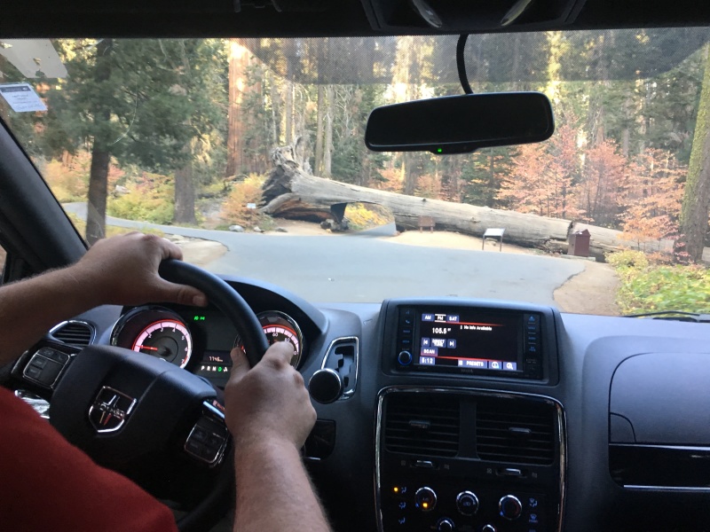 2017/10(October)/Fresno-CA-ERM-work/800x600_2017-10-19-Sequioa-National-Forest-18.JPG
