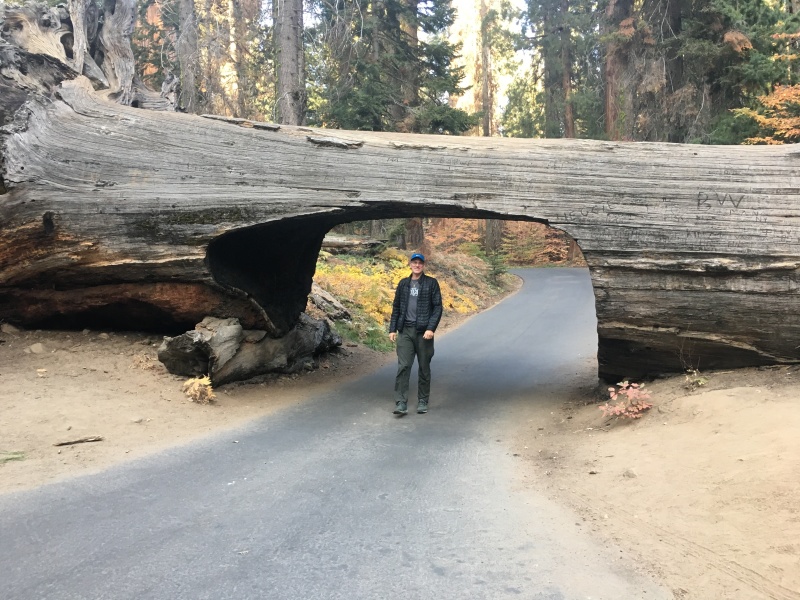 2017/10(October)/Fresno-CA-ERM-work/800x600_2017-10-19-Sequioa-National-Forest-29-Travis.JPG