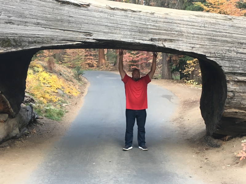 2017/10(October)/Fresno-CA-ERM-work/800x600_2017-10-19-Sequioa-National-Forest-32-Bill.JPG