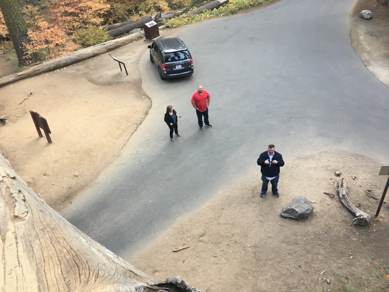 2017/10(October)/Fresno-CA-ERM-work/800x600_2017-10-19-Sequioa-National-Forest-33-MJ-Bill-Brian.JPG