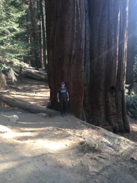 2017-10-19-Sequioa-National-Forest-04-Travis.JPG