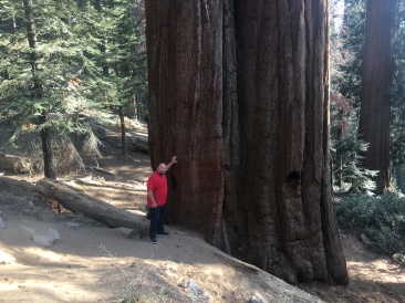 2017-10-19-Sequioa-National-Forest-06-Bill.JPG
