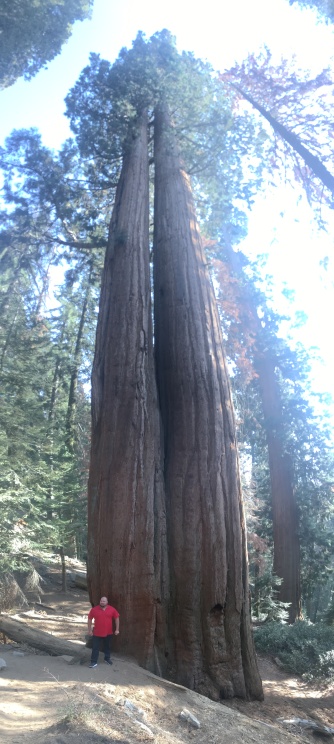 2017-10-19-Sequioa-National-Forest-07-Bill.JPG