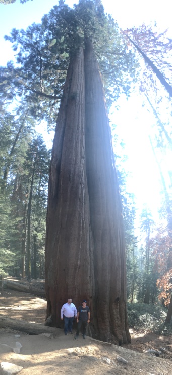2017-10-19-Sequioa-National-Forest-08-Brian-Travis.JPG