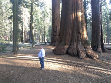2017-10-19-Sequioa-National-Forest-13-Brian.JPG