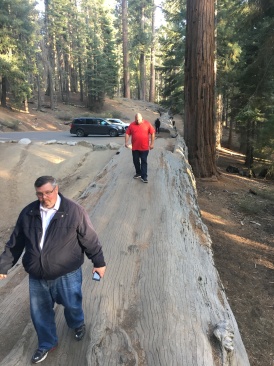 2017-10-19-Sequioa-National-Forest-17-Brian-Bill.JPG
