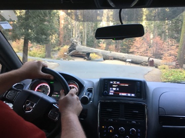 2017-10-19-Sequioa-National-Forest-18.JPG