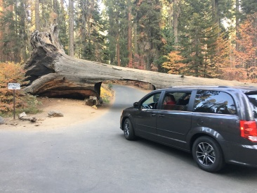 2017-10-19-Sequioa-National-Forest-21.JPG