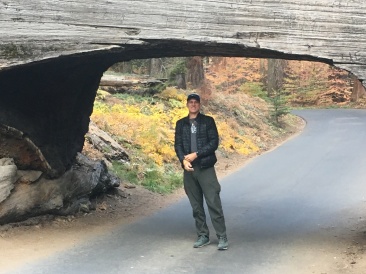 2017-10-19-Sequioa-National-Forest-28-Travis.JPG