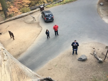 2017-10-19-Sequioa-National-Forest-33-MJ-Bill-Brian.JPG