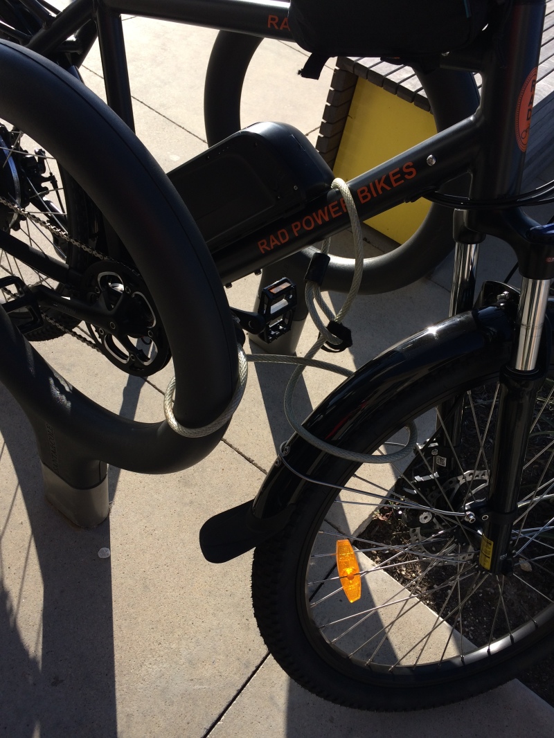 2017/11(November)/RadRover-and-RadCity-eBikes/800x600_2017-11-25-RadCity-to-Gym-Suzi.JPG
